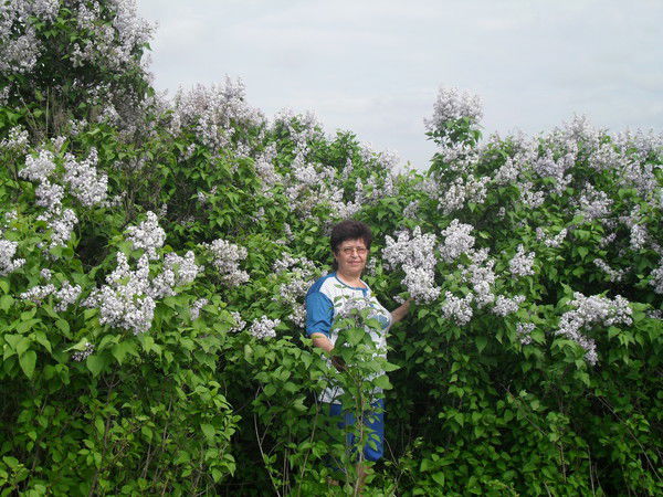 Ольга Якушева