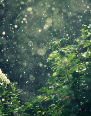 Айгерим (· - ·)