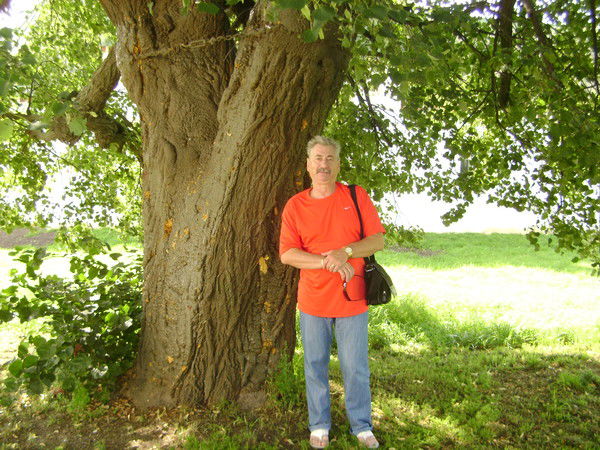 Виктор Горбунов