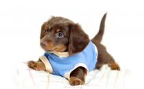 Людмила Терешкина