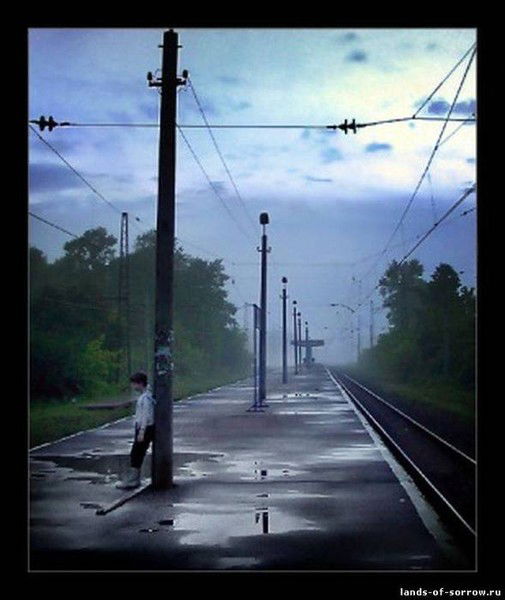 Денис Белянкин