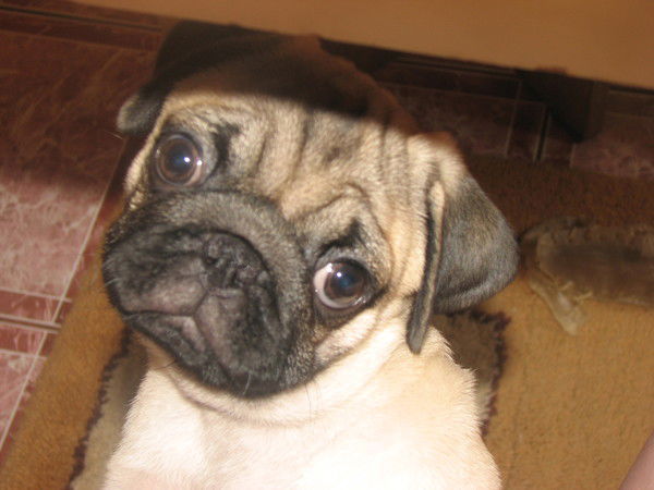 Дмитрий Борисович