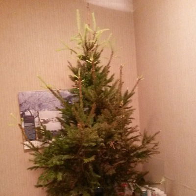 Виктория Казанская