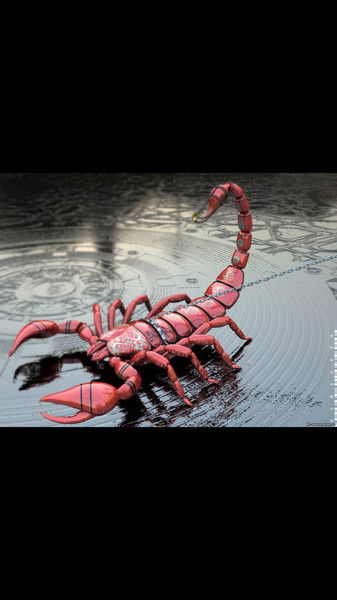 Алма Адибекова (Еркенова)