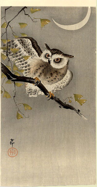 Алена Аленова