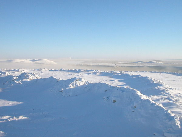 Татьяна Федосова