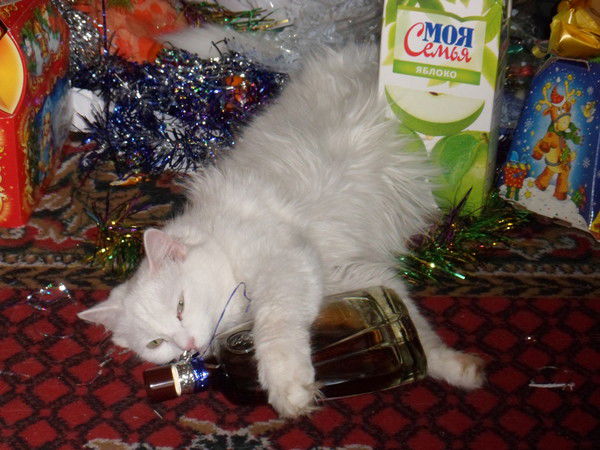 Нина Тимошенко