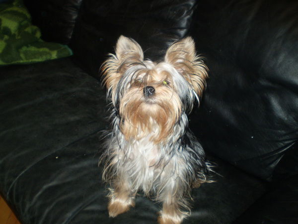 Ирина Федотова