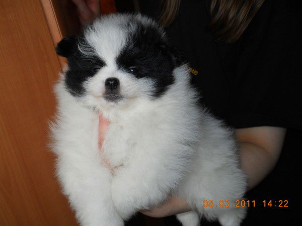 Анжелика Бугрина