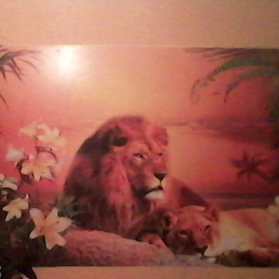 Женя Домась