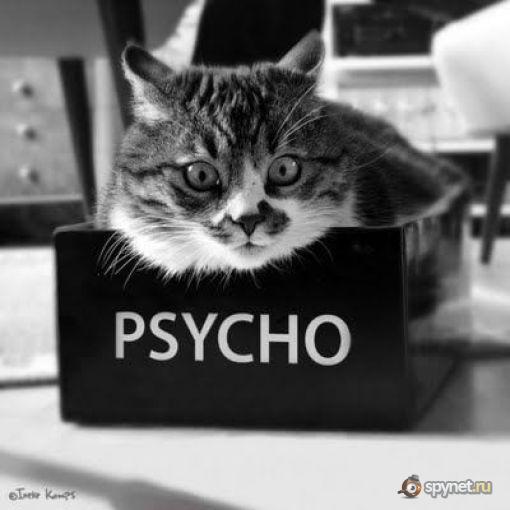 Константин Графов