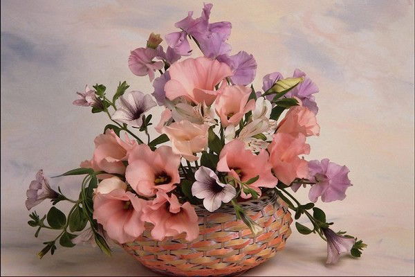 Ксения Идричан