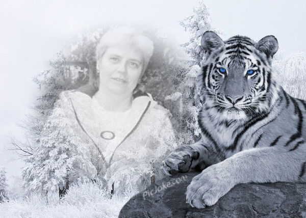 Елена Садковская-Кукса