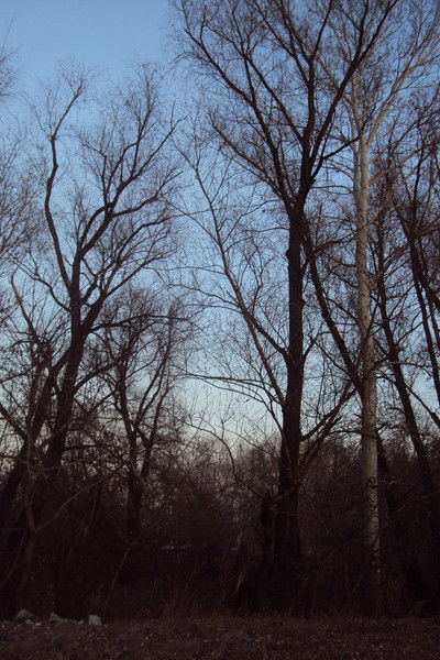 Гульжан Кожанова