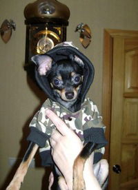 Андрей Королев