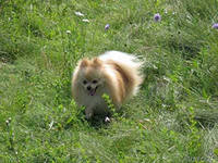 Антонина М***