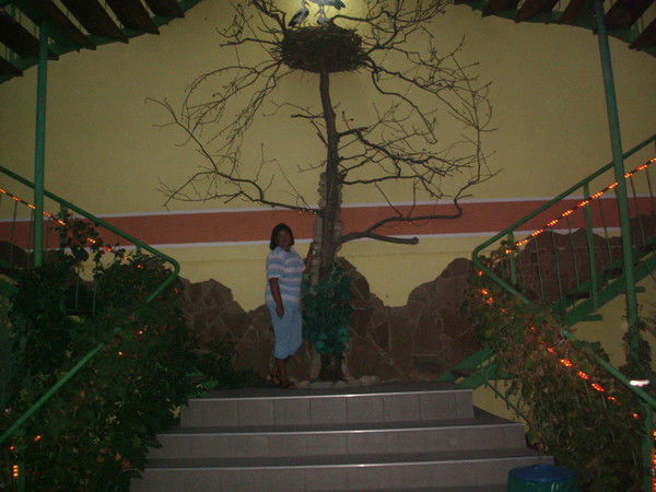 Наталья Зенина