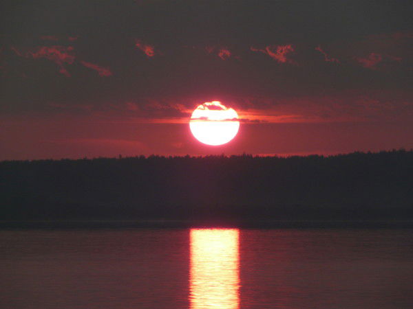 Наталия Желтикова