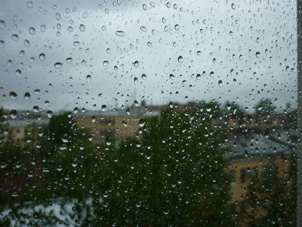 Владимир Бобырь