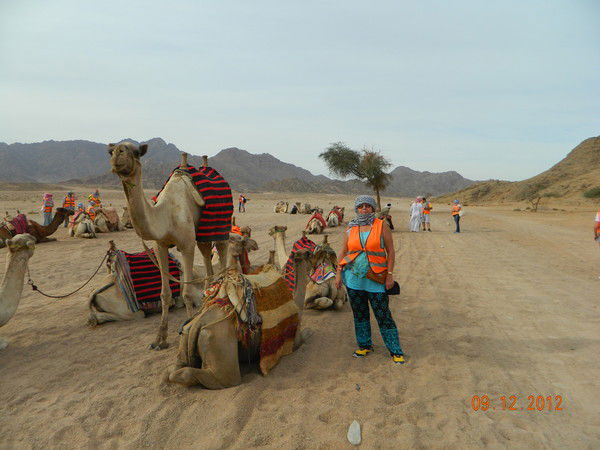 Светлана Глубоковских