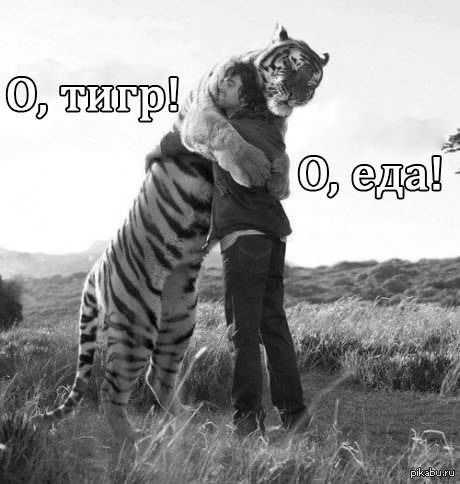 Даниел Толегенов