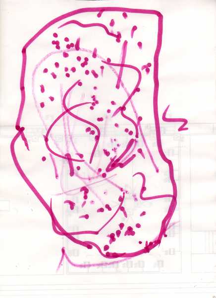 Сергей Жильников