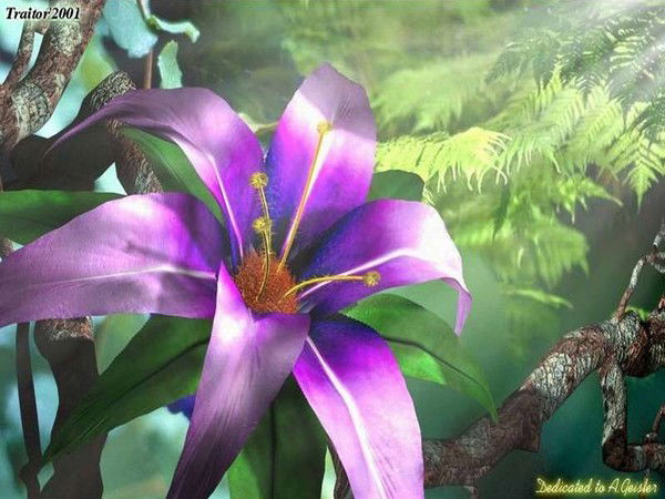 Татьяна Соколова