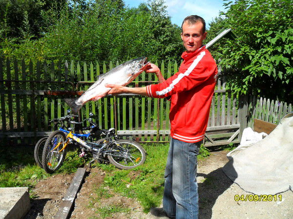 Анатолий Камендов