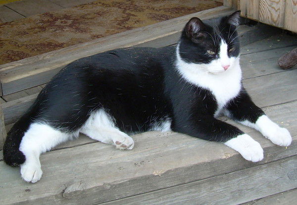 Кирилл Округин