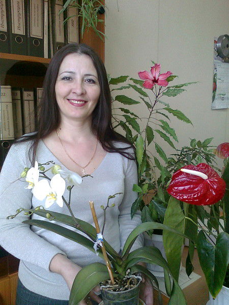 Елена Мельникова