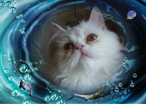 Людмила Кустура