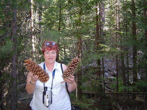 Любовь Талаш