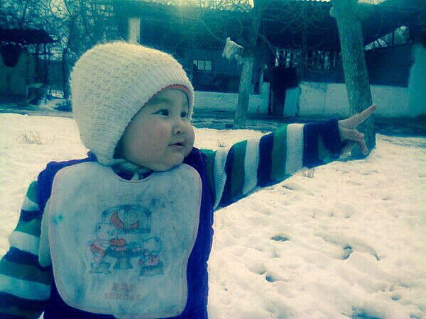 Гулуйпа Полотова