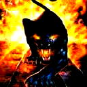 Black Cat