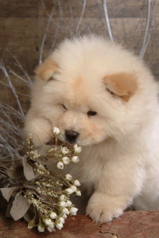 Людмила Исаева