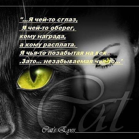 Светлана Дмитриева