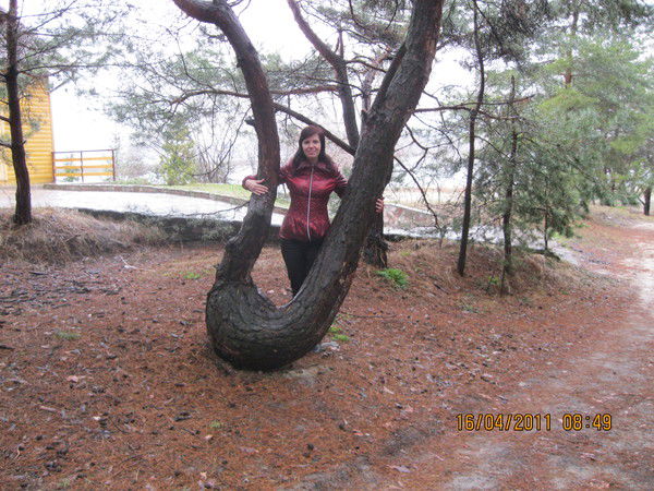 Елена Яритенко