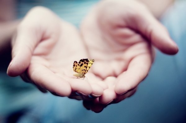 Тарас Чуйко