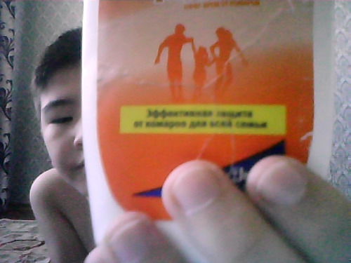 Владимер Вормикс