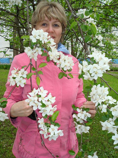 Елена Чеснокова