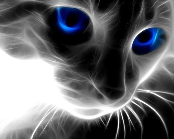 Наталья Шадрина