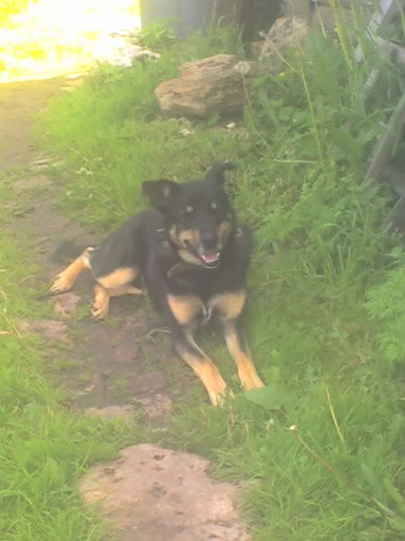 Виталий Виталий