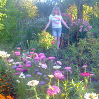 Анна Курникова