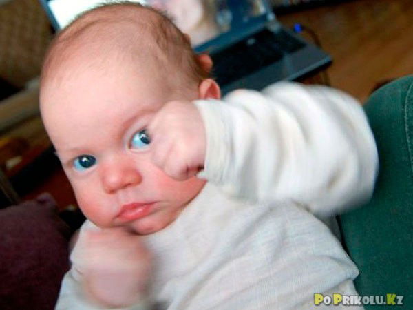 Владимир Дрозд