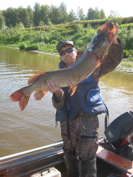 Андрей Чижегов