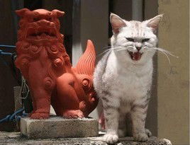 Леонид Акулов