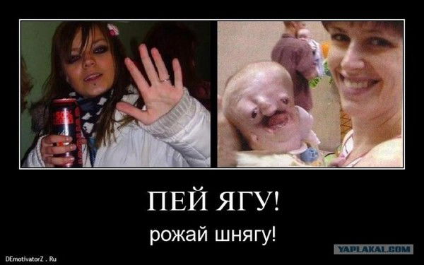 Даниил Гордиенко