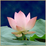 Методический Кабинет