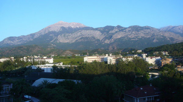 Светлана Селиванова