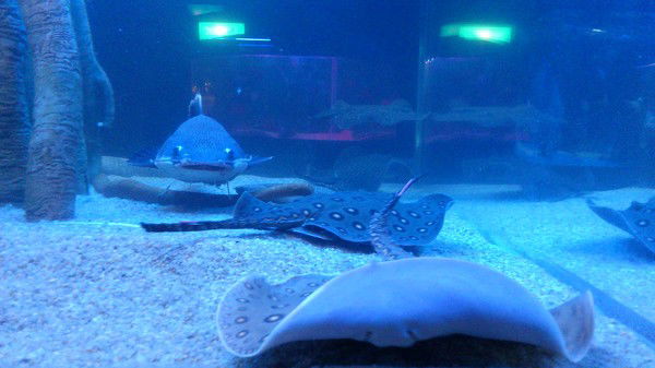 Любовь Сморкалова